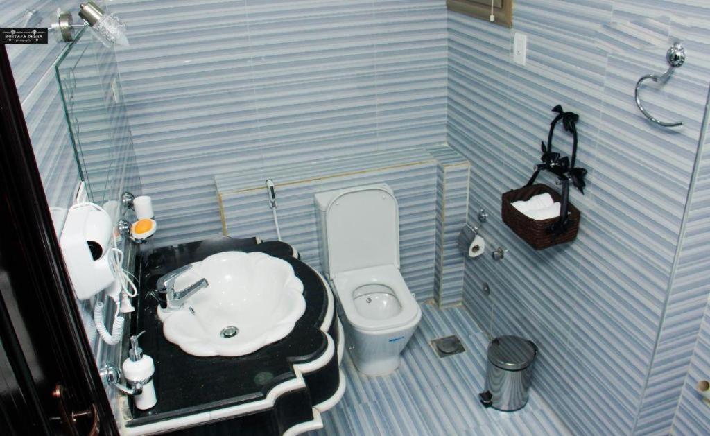 Aswan Plaza - Share Apartment 外观 照片